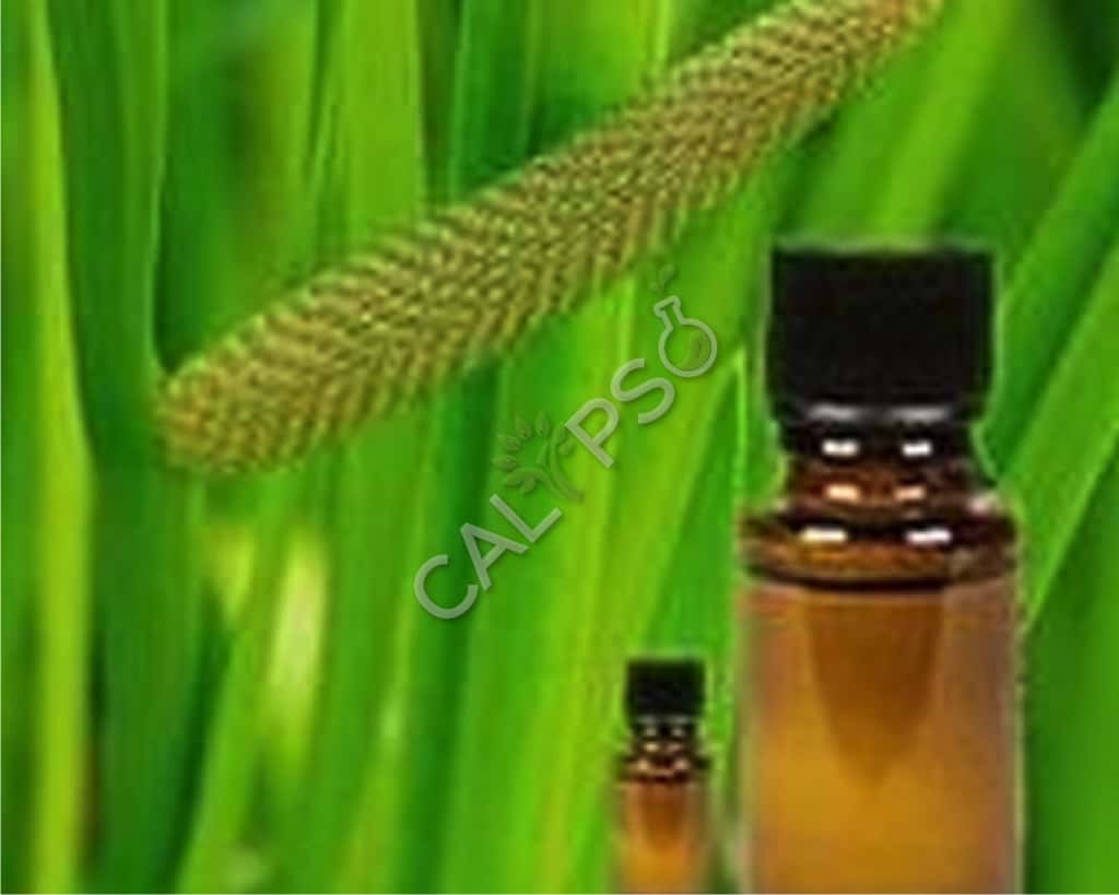Aceite de especia de calamus